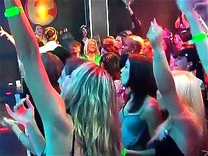 Orgia En La Disco - Porno @ TeatroPorno.com